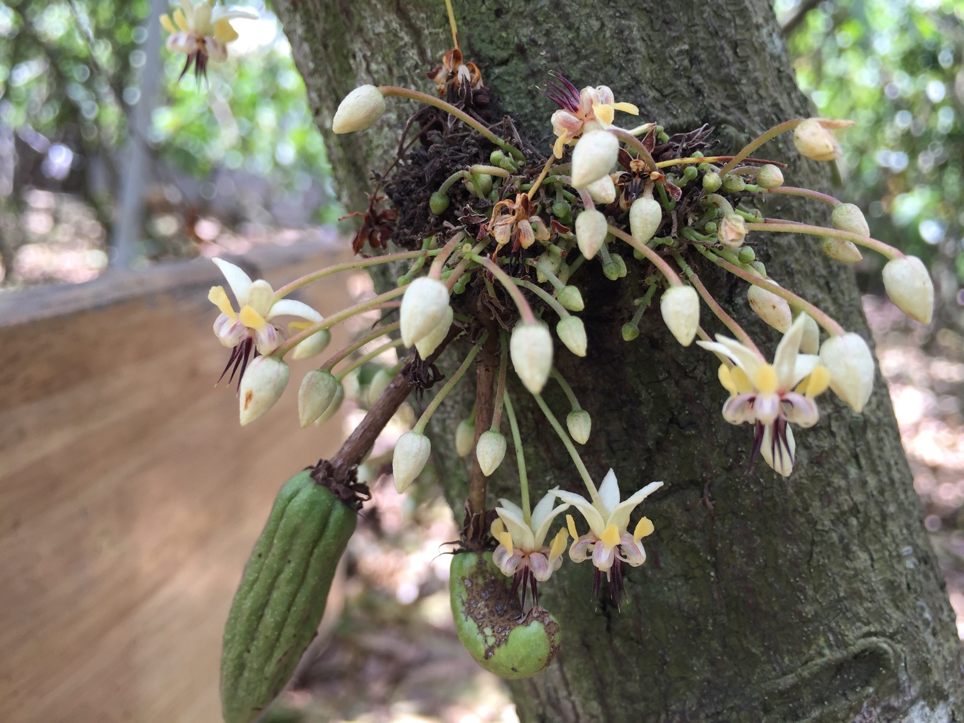 C8518A86-C50B-4397-9A21-179A35B8912F